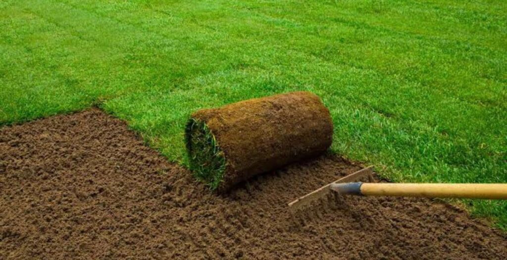 Turf Installation in Sydney