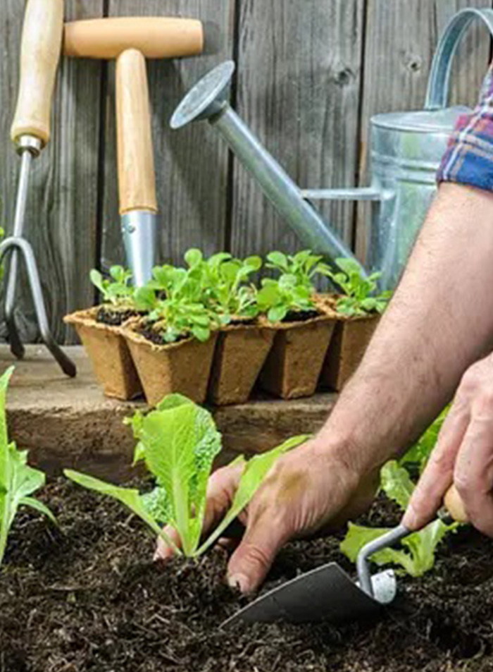 <a style="color: #000000;" href="https://melxbuilds.com.au/gardening-services-melbourne/">Gardening Services</a>