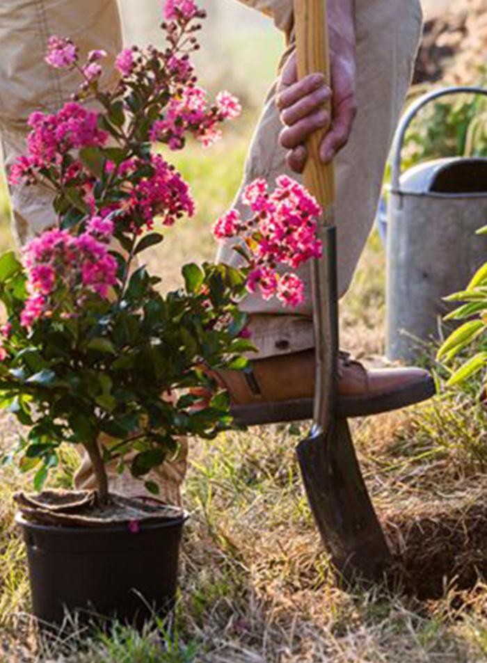 <a style="color: #000000;" href="https://melxbuilds.com.au/general-gardening-melbourne/">General Gardening</a>